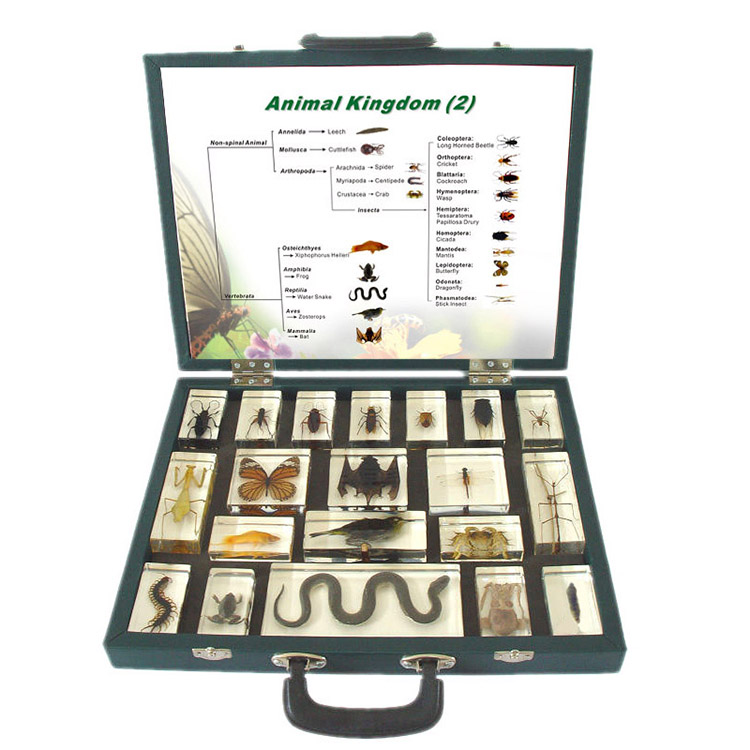 How to create an embedded specimen