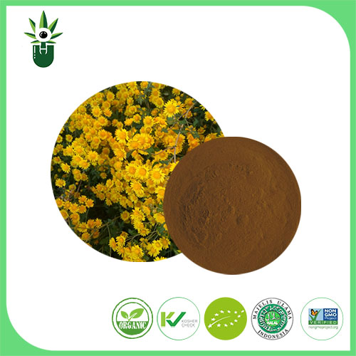 Key Aspects of Wild Chrysanthemum Extract