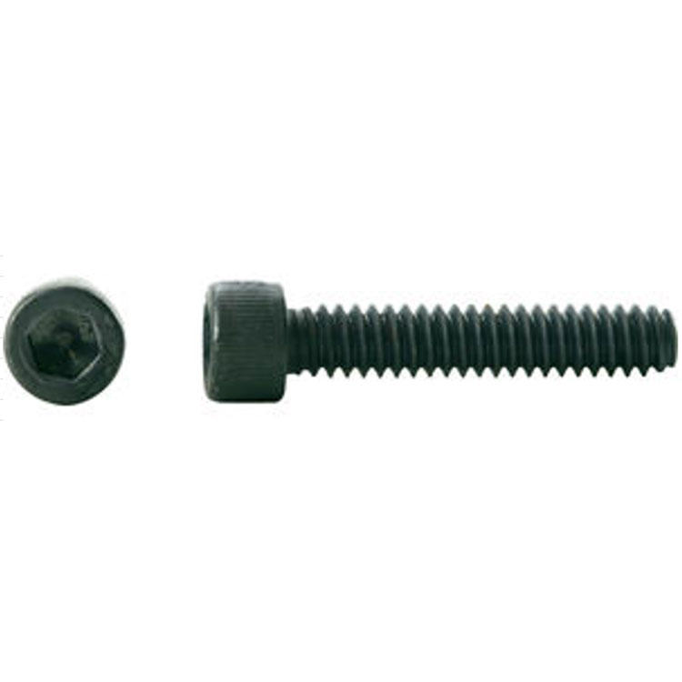 What Are Socket Cap Screws and Why Are They Important?